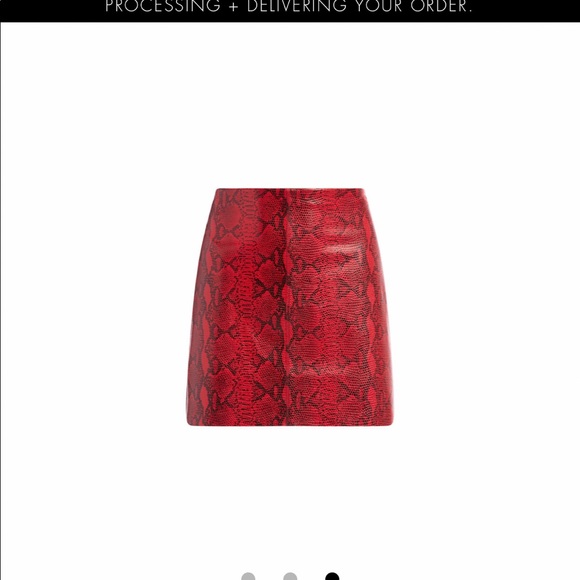 Alice & Olivia Skirt - Picture 5 of 6